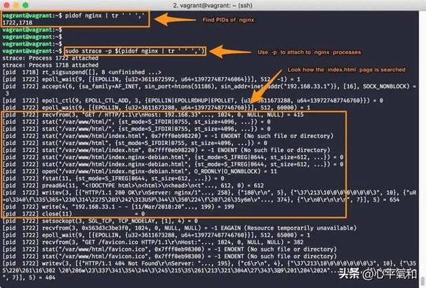 追踪linux tcp/ip代码运行 pdf_linux追踪命令_linux跟踪程序运行过程