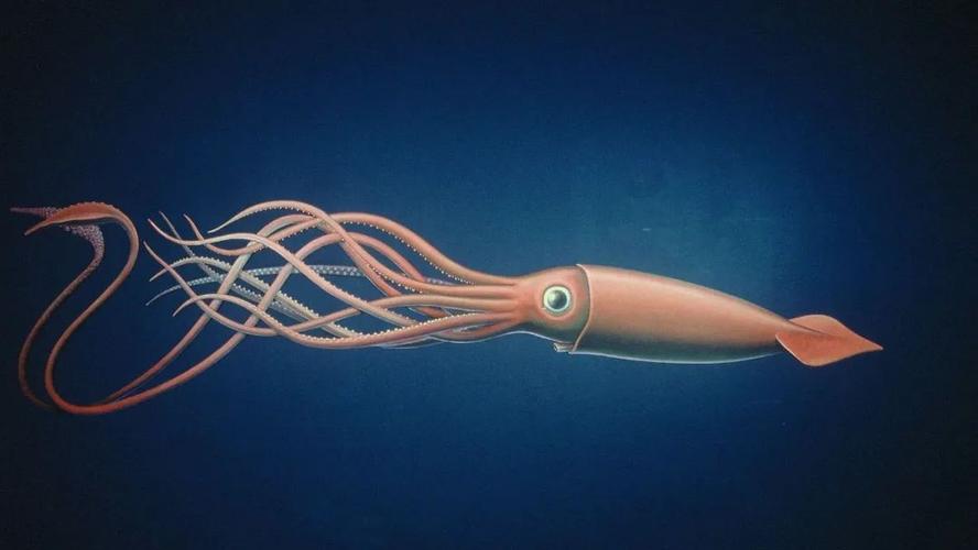 linux suse squid_linux suse squid_linux suse squid