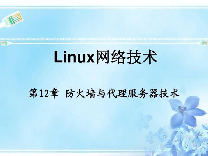 linux suse squid_linux suse squid_linux suse squid