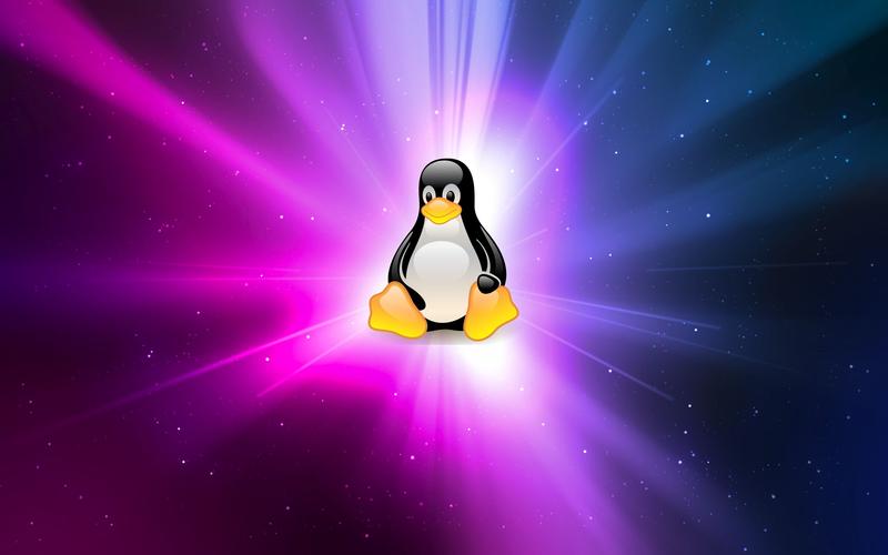 命令下达_linux下的find命令_命令下载文件到本地