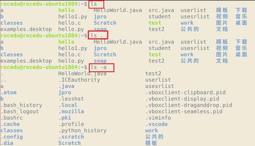 命令执行函数_java 执行linux命令_命令执行和代码执行的区别